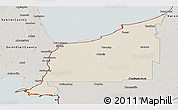 Shaded Relief Panoramic Map of Lambton, semi-desaturated
