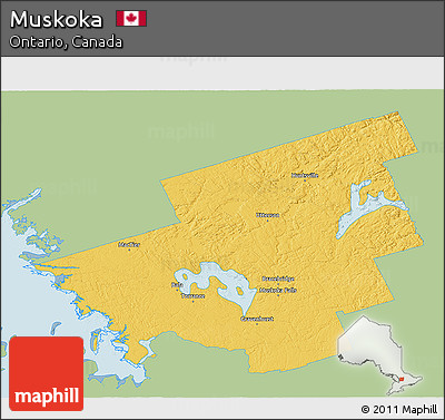 Savanna Style 3D Map of Muskoka, single color outside