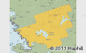 Savanna Style Map of Muskoka