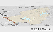 Shaded Relief Panoramic Map of Muskoka, desaturated