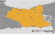 Political 3D Map of Niagara, desaturated