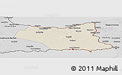 Shaded Relief Panoramic Map of Niagara, desaturated
