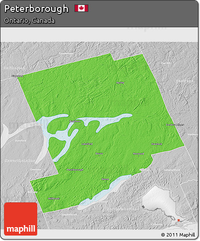 Political 3D Map of Peterborough, lighten, desaturated