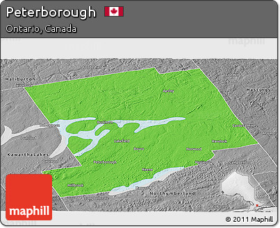 Political Panoramic Map of Peterborough, desaturated