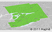 Political Panoramic Map of Peterborough, lighten, desaturated