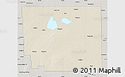 Shaded Relief Map of Division No. 10, semi-desaturated