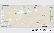 Shaded Relief Panoramic Map of Division No. 10, desaturated