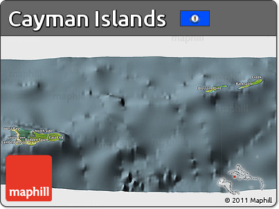 Satellite 3D Map of Cayman Islands, semi-desaturated