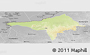 Physical Panoramic Map of Ndele, desaturated