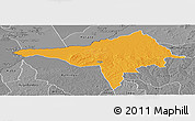 Political Panoramic Map of Ndele, desaturated