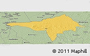 Savanna Style Panoramic Map of Ndele