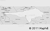 Silver Style Panoramic Map of Ndele