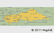 Savanna Style Panoramic Map of Central African Republic