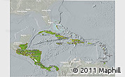 Satellite 3D Map of Central America, lighten, semi-desaturated