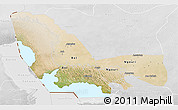 Satellite 3D Map of Bol, lighten, desaturated