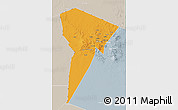 Political 3D Map of Bardai, lighten, semi-desaturated