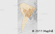 Satellite Map of Bardai, desaturated