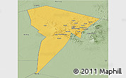 Savanna Style Panoramic Map of Bardai