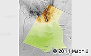 Physical 3D Map of Largeau, desaturated