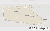 Shaded Relief Panoramic Map of Bokoro, lighten, semi-desaturated