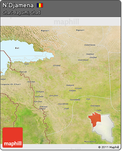 Satellite 3D Map of N'Djamena