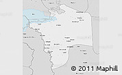 Silver Style 3D Map of N'Djamena