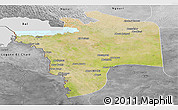 Satellite Panoramic Map of N'Djamena, desaturated