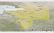 Satellite Panoramic Map of N'Djamena, semi-desaturated