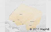 Satellite 3D Map of Kanem, lighten, desaturated