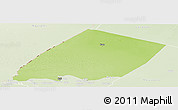 Physical Panoramic Map of Nokou, lighten