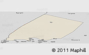 Shaded Relief Panoramic Map of Nokou, desaturated