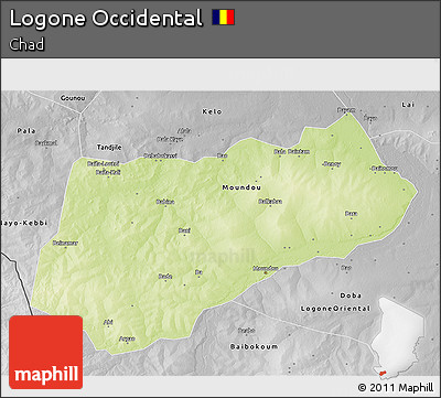 Physical 3D Map of Logone Occidental, desaturated