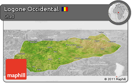 Satellite Panoramic Map of Logone Occidental, lighten, desaturated