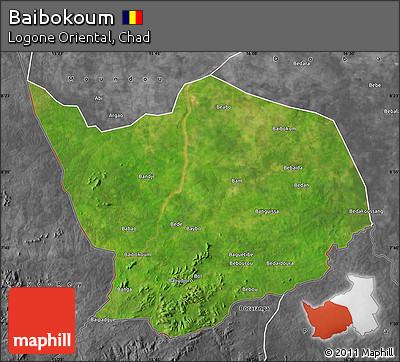 Satellite Map of Baibokoum, desaturated