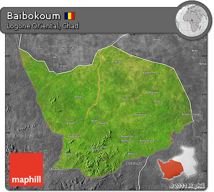 Satellite Map of Baibokoum, desaturated