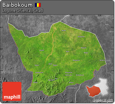 Satellite Map of Baibokoum, desaturated