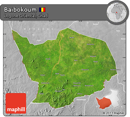 Satellite Map of Baibokoum, lighten, desaturated