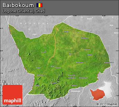 Satellite Map of Baibokoum, lighten, desaturated