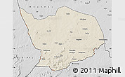 Shaded Relief Map of Baibokoum, desaturated