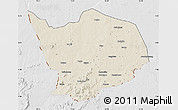 Shaded Relief Map of Baibokoum, lighten, desaturated