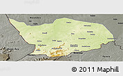 Physical Panoramic Map of Baibokoum, darken, semi-desaturated