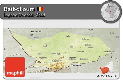 Physical Panoramic Map of Baibokoum, semi-desaturated