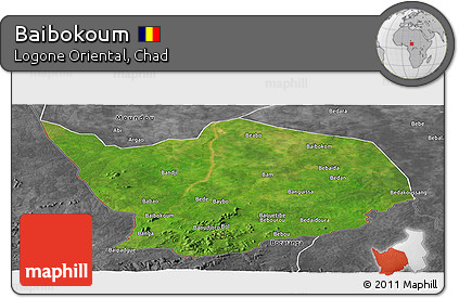 Satellite Panoramic Map of Baibokoum, desaturated
