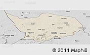 Shaded Relief Panoramic Map of Baibokoum, desaturated