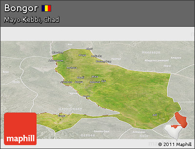 Satellite Panoramic Map of Bongor, lighten, semi-desaturated