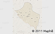 Shaded Relief Map of Pala, lighten
