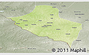Physical Panoramic Map of Pala, semi-desaturated
