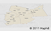 Shaded Relief Panoramic Map of Moyen-Chari, lighten, desaturated