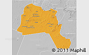 Political 3D Map of Goz Beida, lighten, desaturated