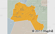 Political 3D Map of Goz Beida, lighten, semi-desaturated